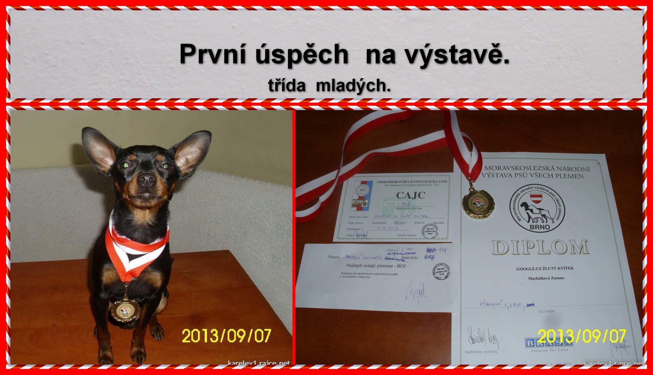 2013-02)....._...prvni_uspech_na_vystave
